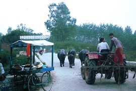 near Meerut
Upper Ganga Canal