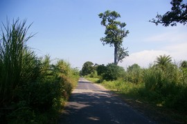 near Meerut
Upper Ganga Canal