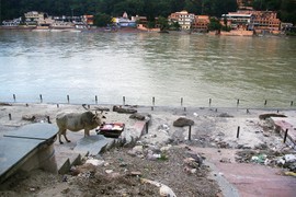 Rishikesh
Swarg Ashram
Ganga River