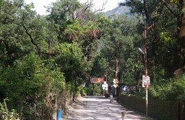 Rishikesh
Swarg Ashram