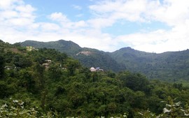 near Rishikesh
near Neelkanth Mahadev