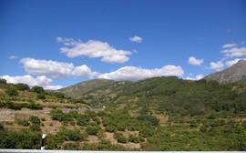 Valle del Jerte
Puerto de Tornavacas