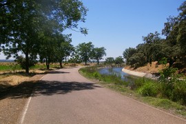 Canal de Montijo