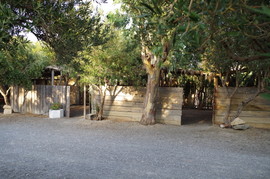 Koutsounari (Ierapetra, South Coast)