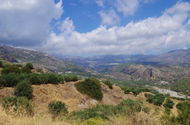 Orosira Dikti
Males