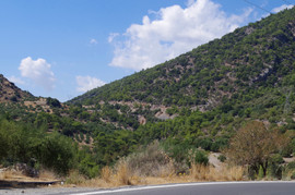 Orosira Dikti