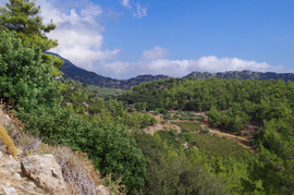 Orosira Dikti
bei/near Pefkos