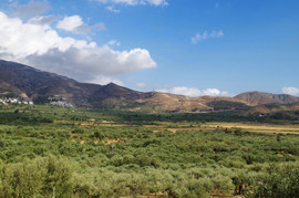 Orosira Dikti
Ano Viannos