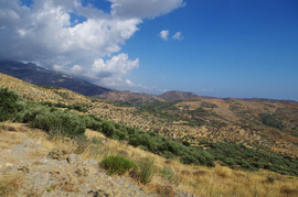 Orosira Dikti
bei/near Ano Viannos