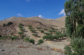 Orosira Dikti
bei/near Ano Viannos