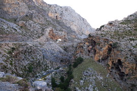 Kourtaliotiko Farangi