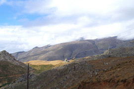 bei/near Selia