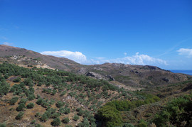 bei/near Skaloti