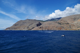 Livaniana