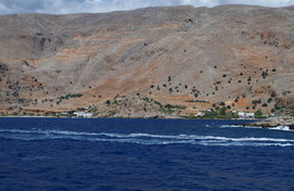 Livaniana