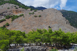 Agia Roumeli
Kastro