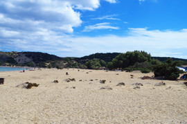 Sarakinikou