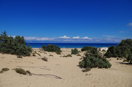 Sarakinikou