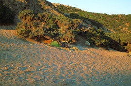 Agios Ioannis