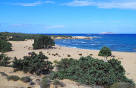 Lavrakas
Gavdopoula