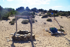 Lavrakas