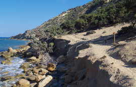 Lavrakas