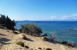 Lavrakas
Gavdopoula