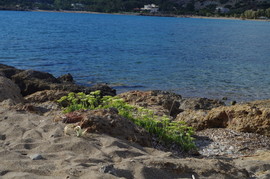 Gialos - Grammeno