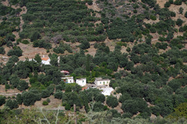 bei/near Paleochora
Agia Triada