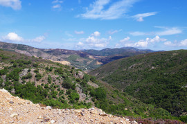 Selino