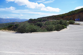 Selino