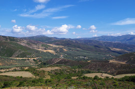Selino