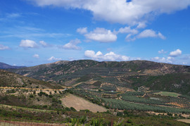 Selino