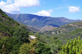 bei/near Strovles