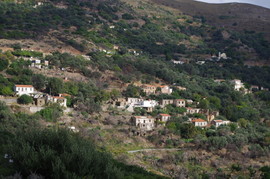 bei/near Livadia
Amigdalokefali