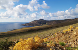 bei/near Sfinari
Ormos Sfinari
Akrotiri Papamouri