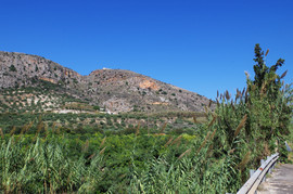 Apokoronas