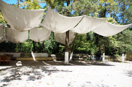 Apokoronas