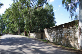 Apokoronas
bei/near Georgioupoli