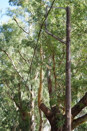 Apokoronas
bei/near Georgioupoli