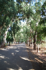 Apokoronas
bei/near Georgioupoli