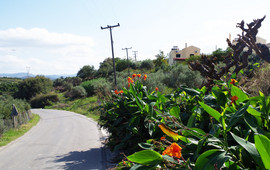 bei/near Dramia
old national road PEO